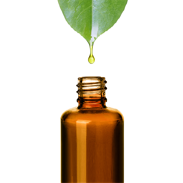 Liddell Laboratories Homeopathic Care Delivery or Pickup