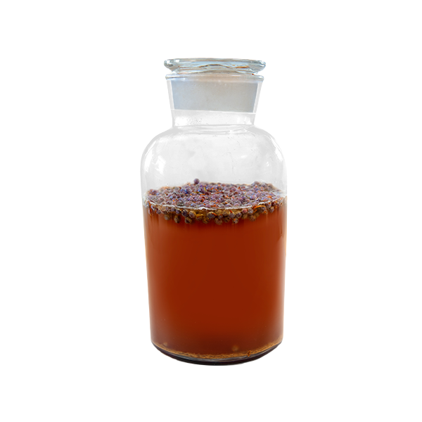 Big Easy Bucha Kombucha Delivery or Pickup